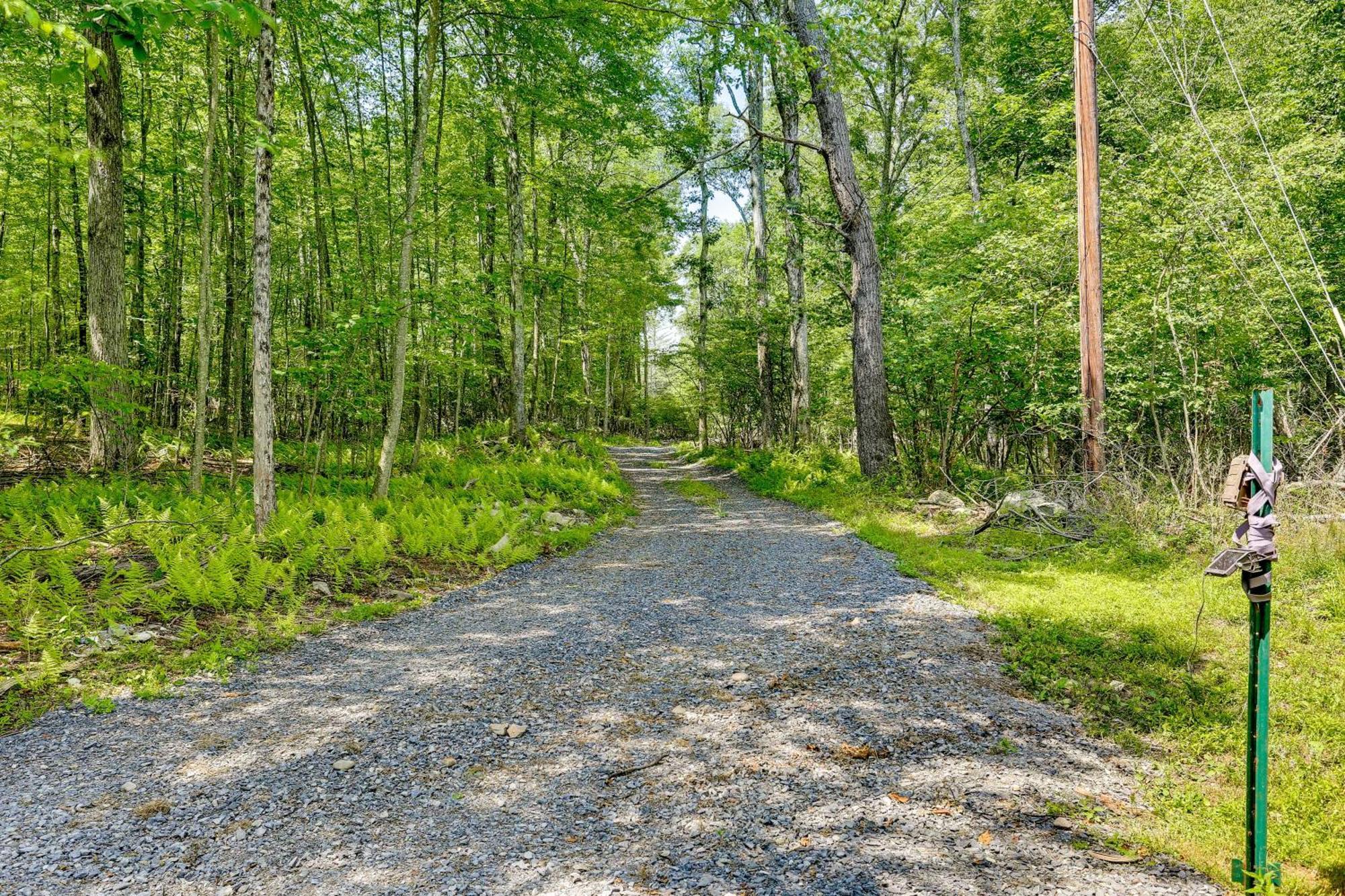 Secluded Poconos Cabin With Fire Pit On 75 Acres! Іст-Страудсберг Екстер'єр фото
